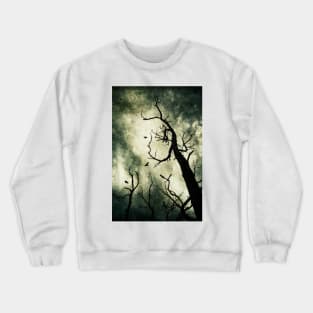 Beckoning Crewneck Sweatshirt